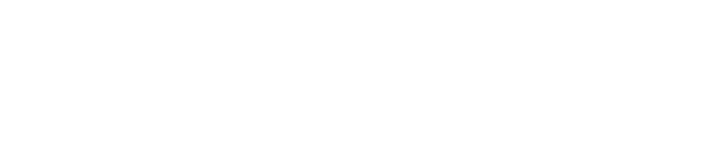 Next Aesthetics Logo